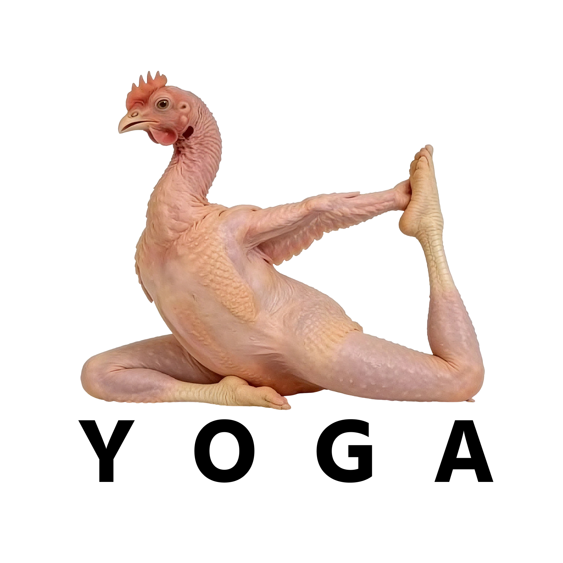 Chicken Yoga logo